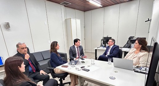 Encontro tratou de questões administrativas e processuais e alinhou estratégias para o período e...