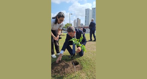 #PraTodosVerem: Na fotografia, o palco de um evento, com quatro pessoas sentadas em poltronas. N...