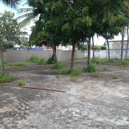 #PraTodosVerem: Montagem com oito fotografias em formato quadrado, mostrando o antes, à esquerda...
