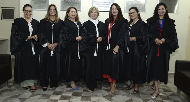#ParaTodosVerem: Painel retangular com sete mulheres de pé, posando para fotografia.