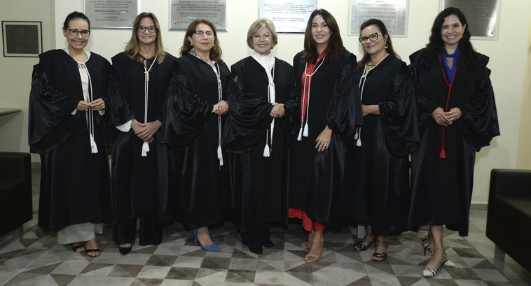 TRE-PB Justiça Eleitoral – a Justiça feminina #ParaTodosVerem: Painel retangular com sete mulheres de pé, posando para fotografia.
