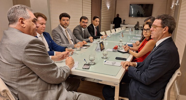 Oito pessoas sentadas à mesa de reunião, sendo uma delas, uma mulher.