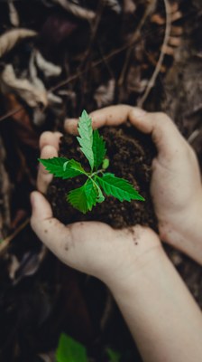 tre-pb-campo-verde-sustentabilidade