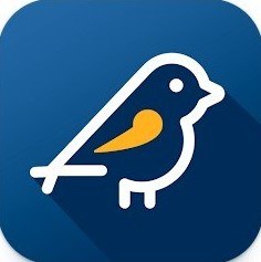 Eleições Sustentáveis